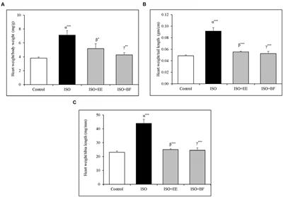 Cardioprotective Effect of Ulmus wallichiana Planchon in β-Adrenergic Agonist Induced Cardiac Hypertrophy